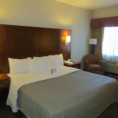 Comfort Inn San Jose International Airport Kamer foto